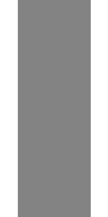 Larix Grey 80x240cm