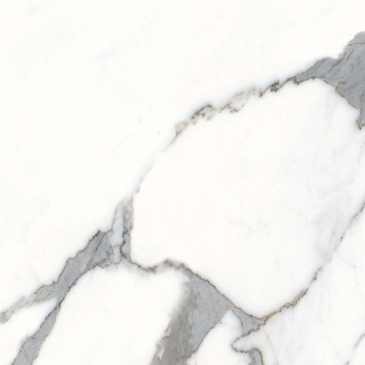 Calacatta Oro Marble Effect Porcelain Tiles IvySpace