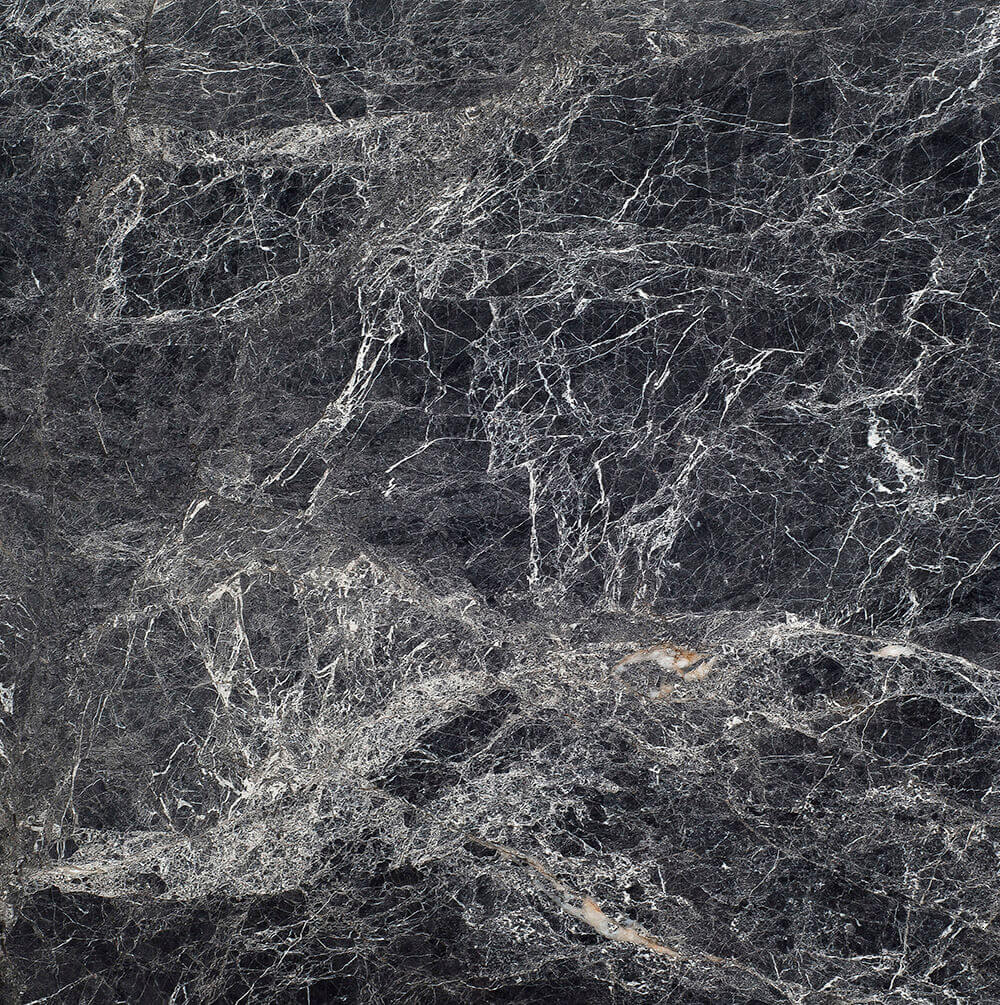 Damas Black Grey Marble Ivyspace