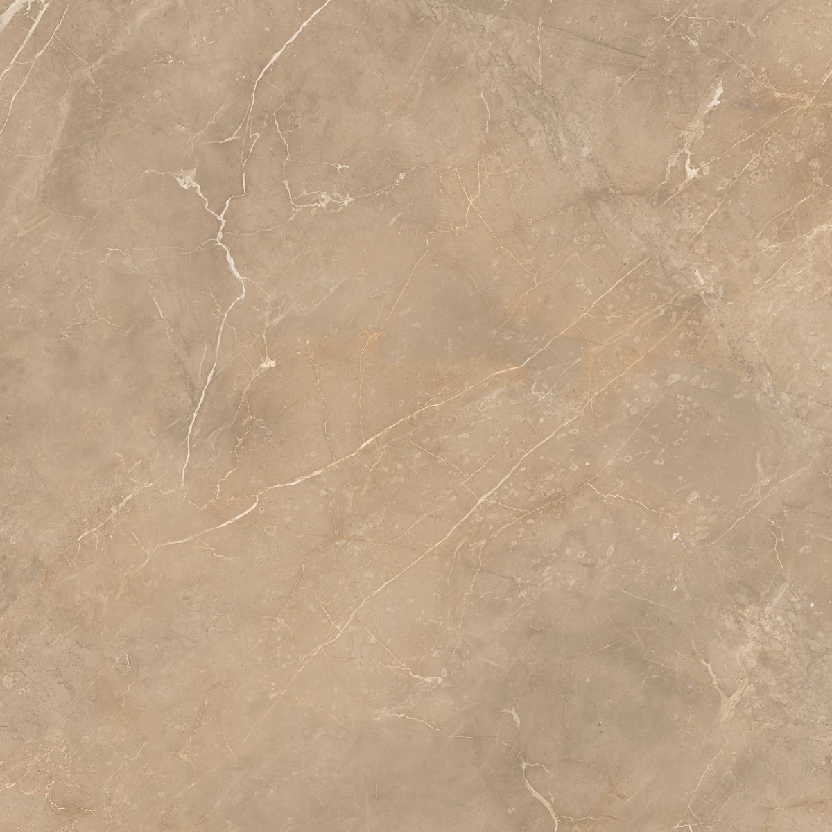 Titanium Beige 120x160cm
